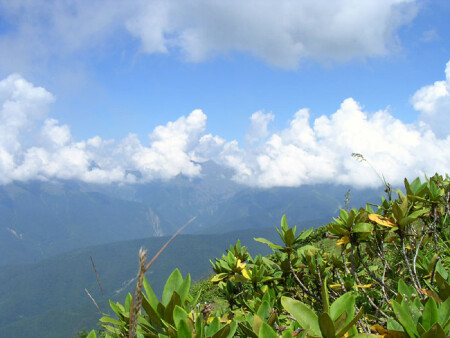 2000 над землей