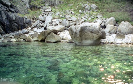 Камнеморда