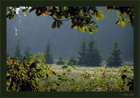 сентябрьские окна