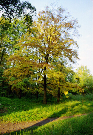 Очей очарованье