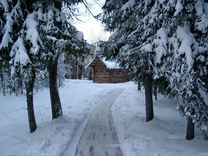 Зимняя дорожка