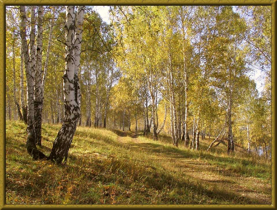 Золотая грусть