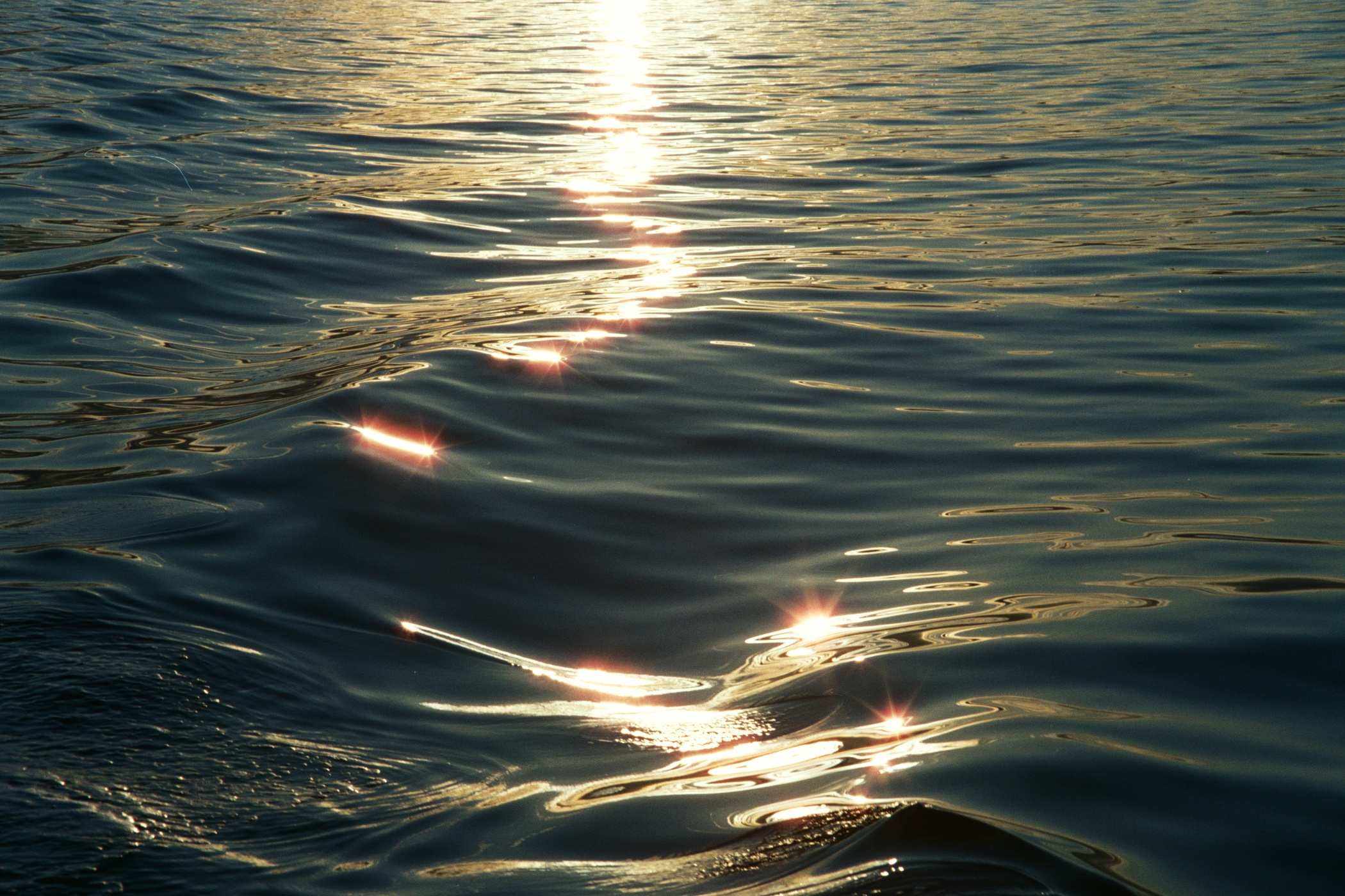 Белое море