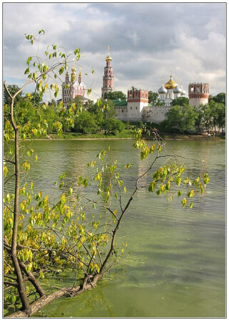 Новодевичий #1