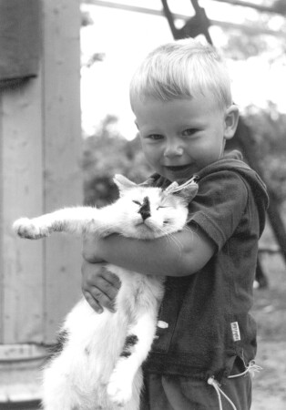 Вот по этому я и не люблю кошек