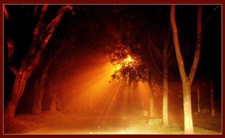 Древнего Парка Тайные Сны