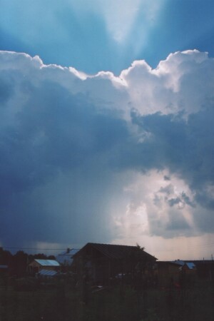 Луч света в дождевом царстве