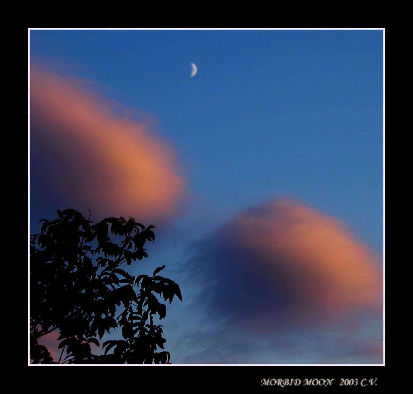 morbid moon
