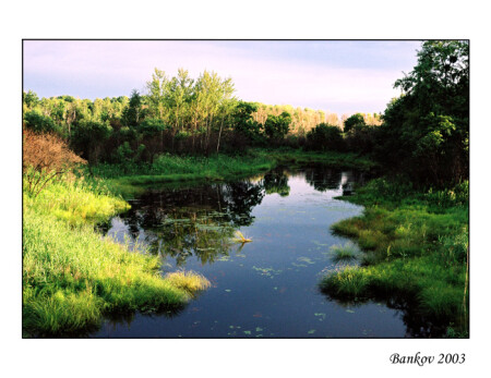 Тихая заводь