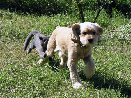 Беги, дядя Митя, беги !!!