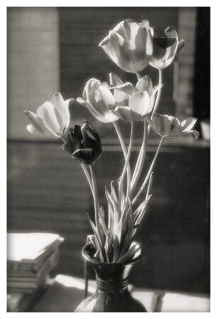 Утомленные