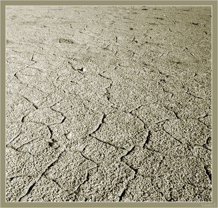 Thirst of the Earth