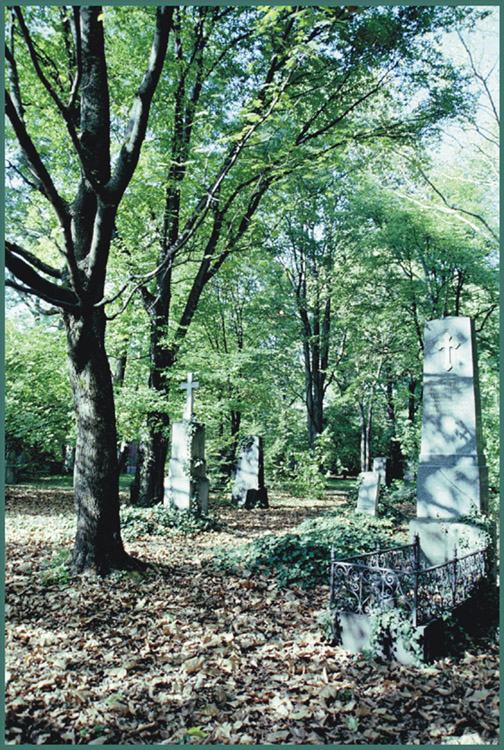 Santo Campo