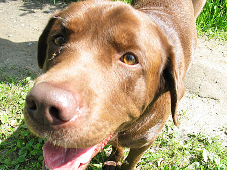 Любопытство...