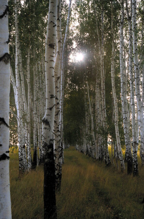 все будет хорошо