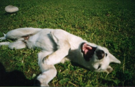 Нет наркотикам