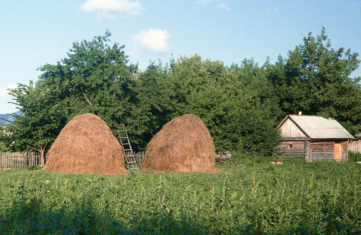 село