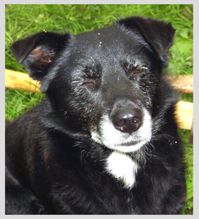 &quot;И так хреново, а Вы тут со вспышкой !&quot;