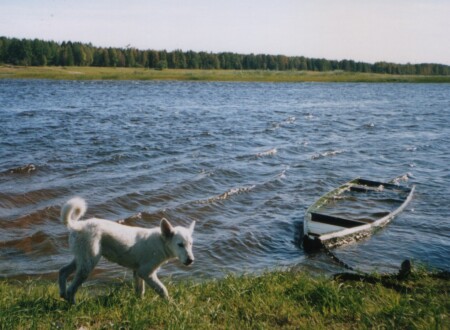 "Колбас" на рыбалке