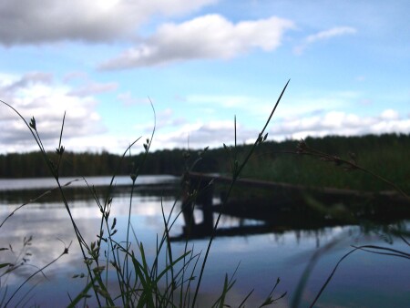 колышется трава...