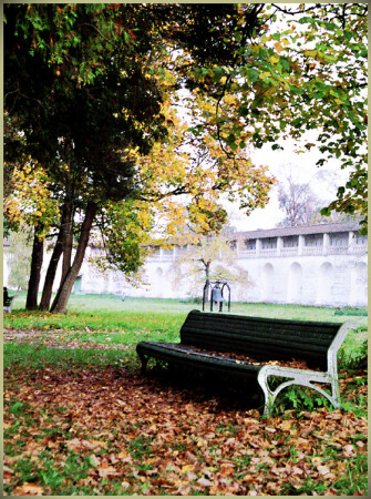 Под сенью осенней листвы