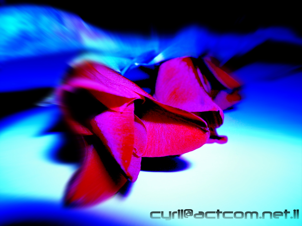 bloody flower