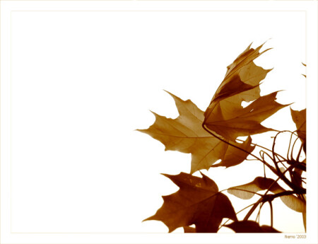 Над городом кружатся