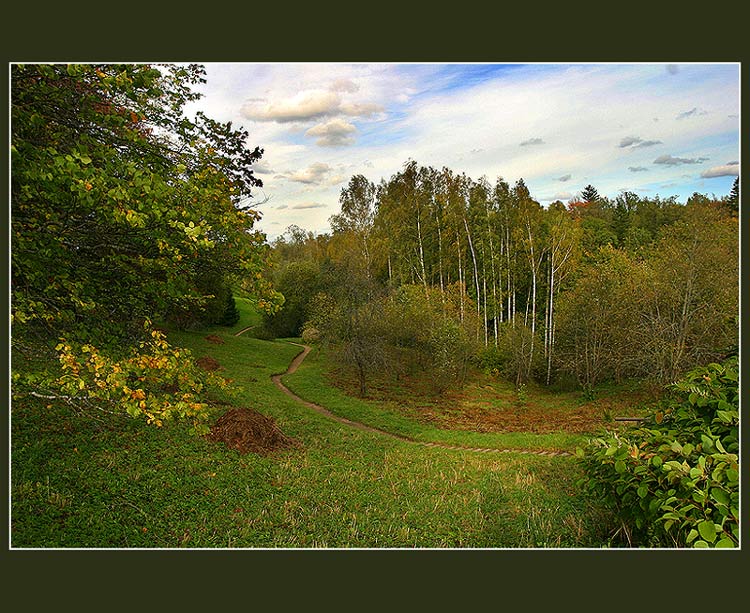 Осенний пейзаж с тропинкой