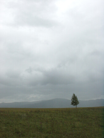 Одиночество