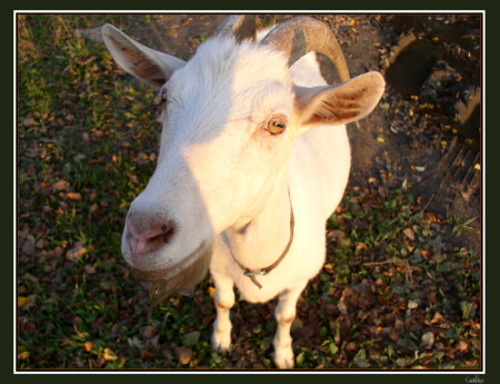 ну как я вам?