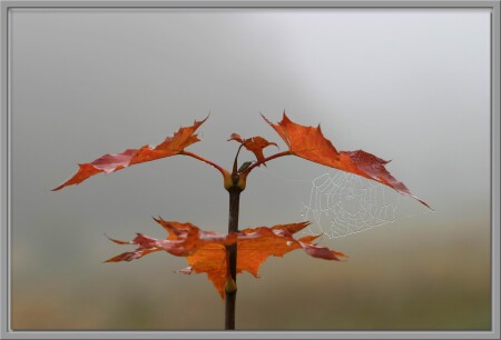 дыхание осени