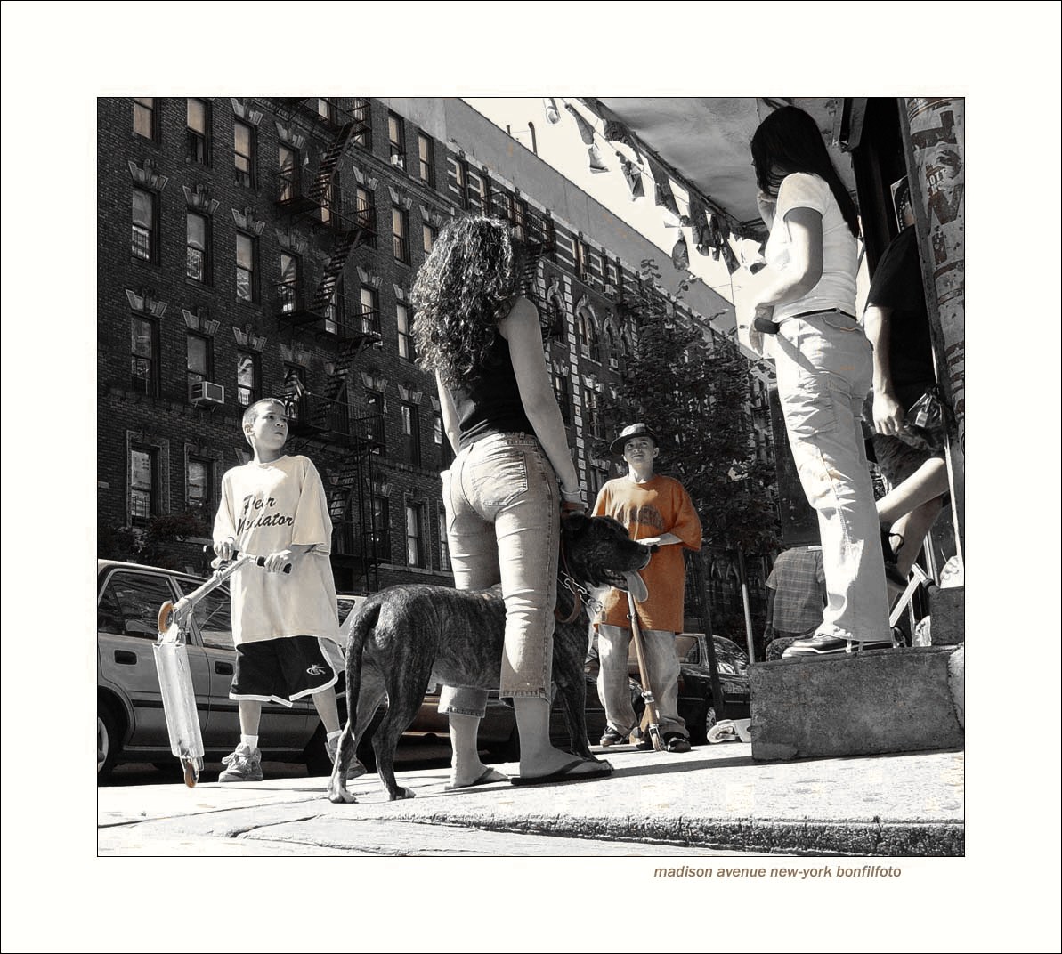 старшая сестра/new-york/