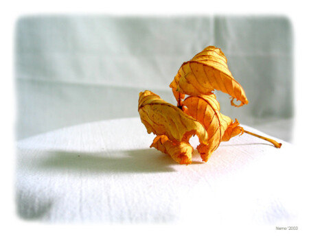 Над городом кружатся