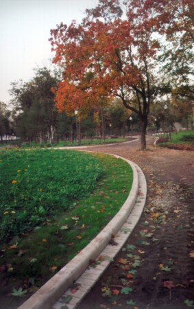 зеленая трава, красное дерево и белая линия.