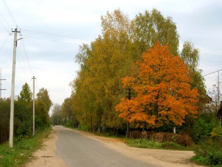 Дорога в осень