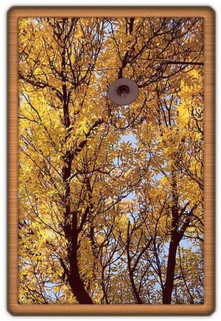 Осенний свет