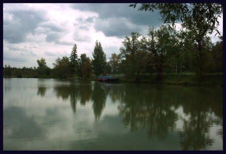 Reflection No.2