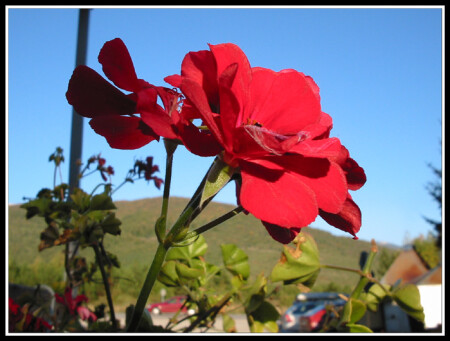 Тянемся, тянемся....