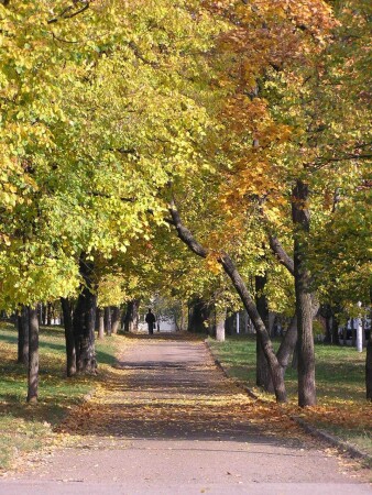 "Золотая" осень