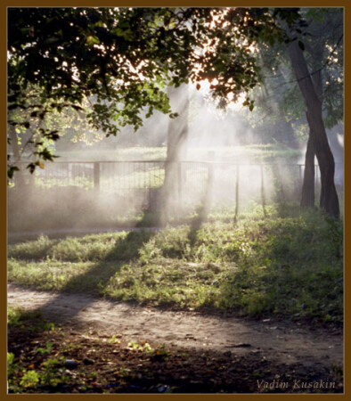 Туманное утро