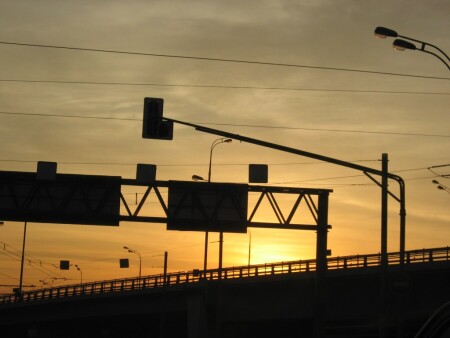 Сквозь тернии...