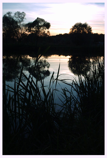Reflection No.4