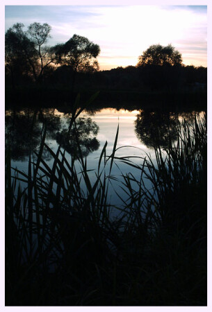 Reflection No.4