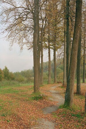 осень в Фирсановке