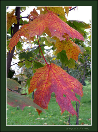 Осеннее настроение.
