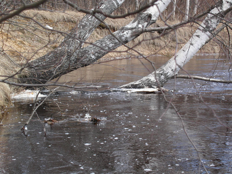 Весна воды