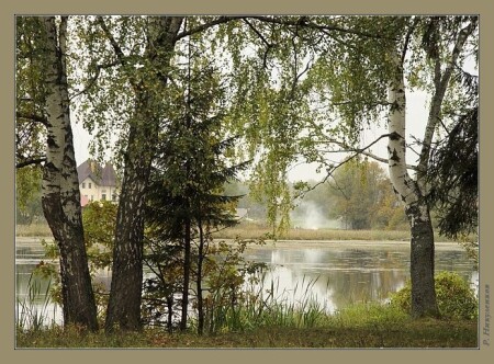 На краю леса