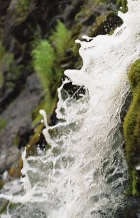 Шампанского!!!