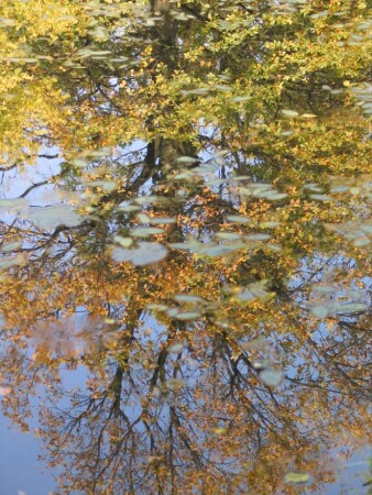 Зазеркалье