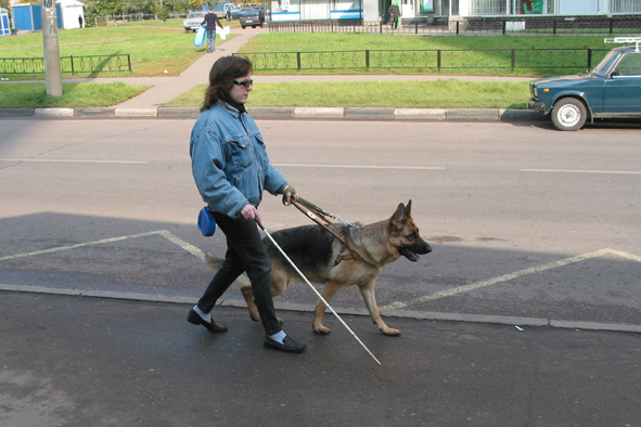 Вдоль дороги.